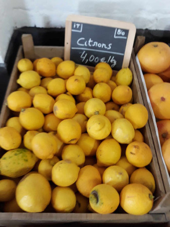Citrons 4euros/kg  (kg)