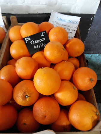 Oranges TARCCO Bio 4 Euros/ki  (kg)