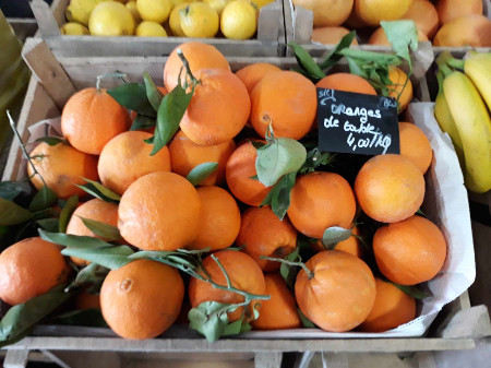 Orange de tabkes 4 euros /kg  (kg)