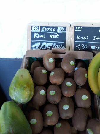 Kiwi vert Bio 1.05 pièce  (pc)