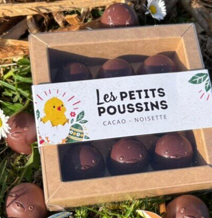 Les petits poussins cacao-noisette - ECOCOA  (pc)